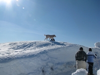 IMG 5323