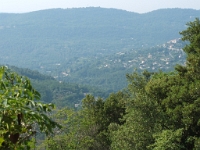 DSCF4301
