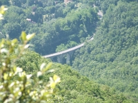 DSCF4352