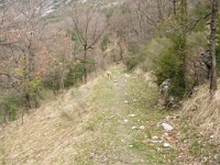 DSCF4200