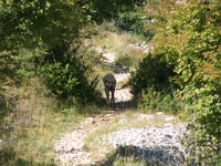 DSCF5267
