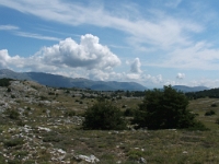 DSCF5294