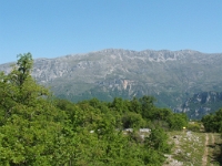 DSCF4852