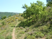 DSCF4876