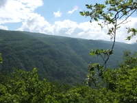 DSCF4750